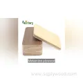 Melamine Coated Waterproof Plywood (1220x2440mm)